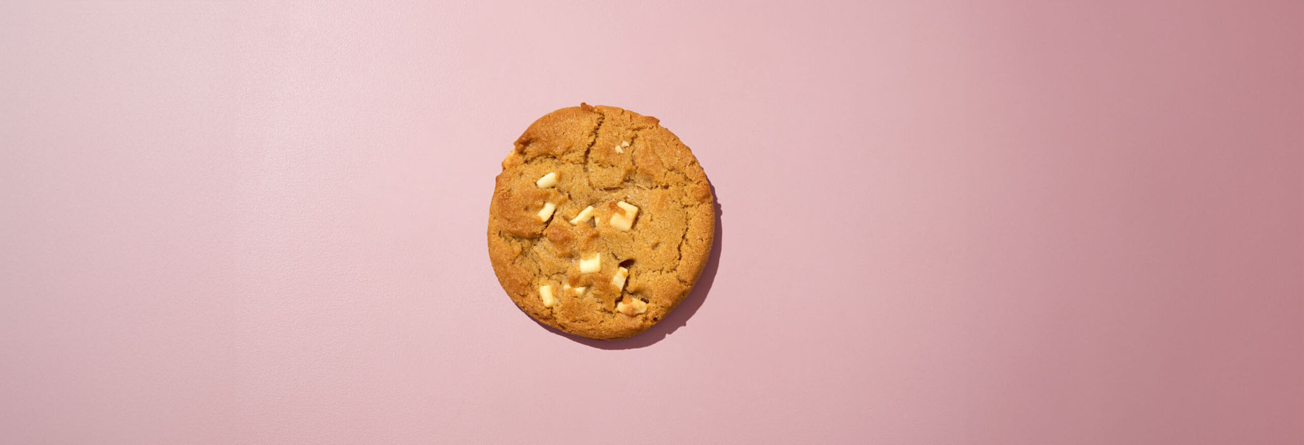 21050000_Moodfoto_Cookie Witte Chocolade