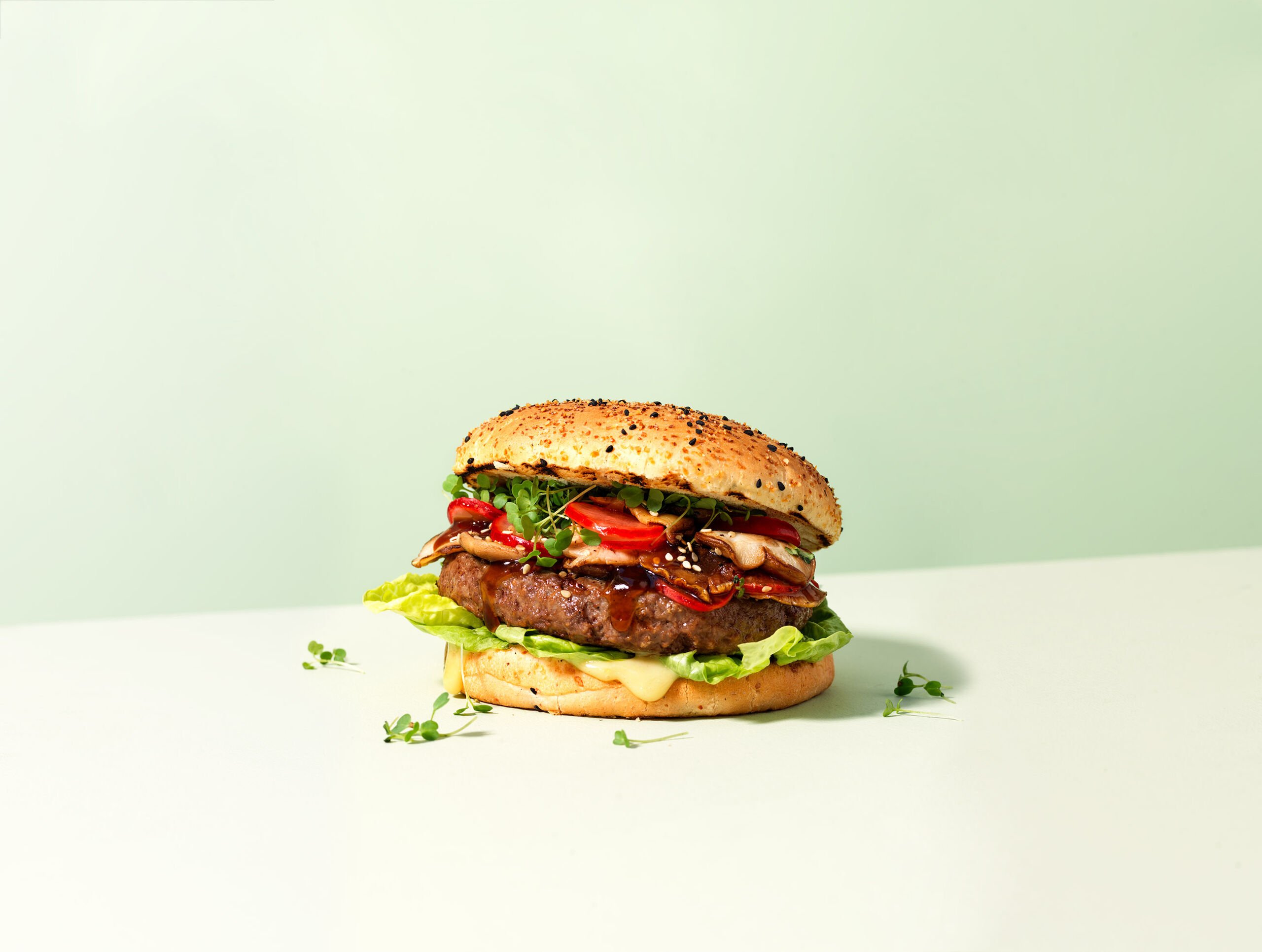 223360_26380001_PASTRIDOR_Recept_Blackpepper-hamburgerbun liggend